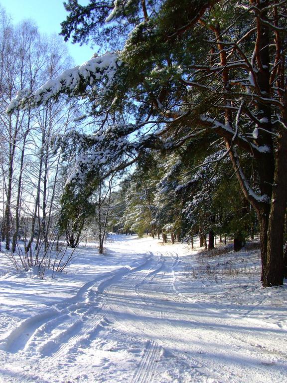 Villa Sveciu Namelis Druskininkai Esterno foto